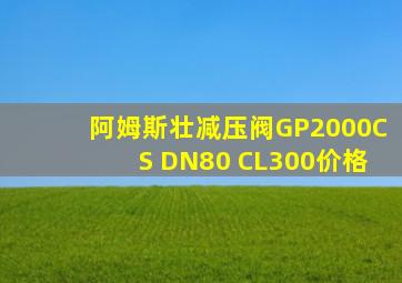 阿姆斯壮减压阀GP2000CS DN80 CL300价格